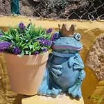 Шале Casa Pablito *