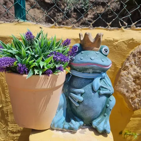 Dağ evi Casa Pablito *