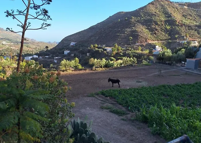 Casa Pablito *